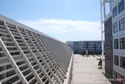 日照職業技術學院 風格與藝術的建筑探訪